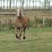 Dante en Lodewijk