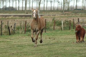 Dante en Lodewijk