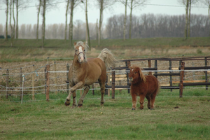 Danet en Lodewijk