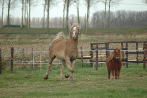 Dante en Lodewijk