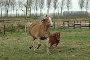 Dante en Lodewijk