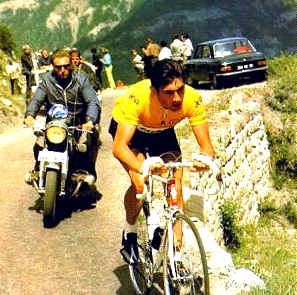 Merckx Eddy