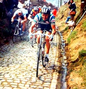 De Vlaeminck Roger