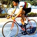 Merckx Eddy