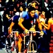 Merckx Eddy