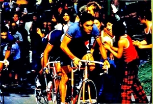 Merckx Eddy