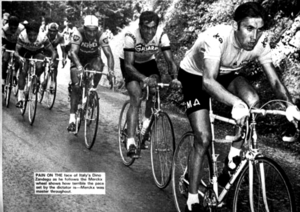 Merckx Eddy