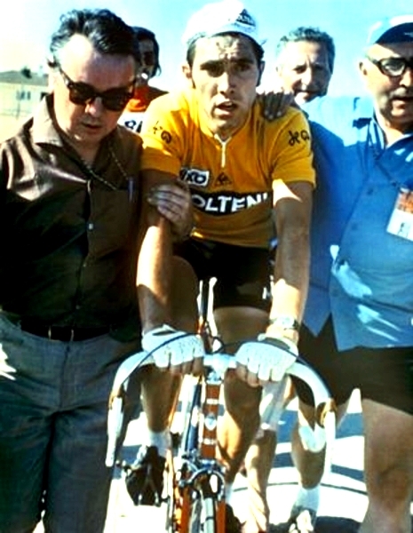 Merckx Eddy