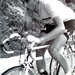 Merckx Eddy