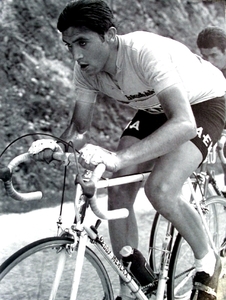 Merckx Eddy