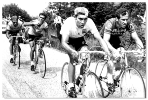 Merckx Eddy