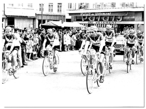 Merckx Eddy