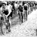 Merckx Eddy