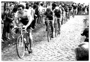 Merckx Eddy