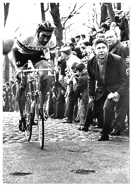 Merckx Eddy