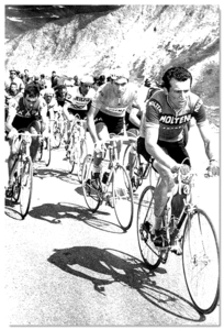 Merckx Eddy