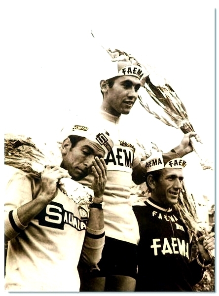 Merckx Eddy