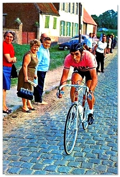 Merckx Eddy