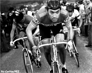 Merckx Eddy