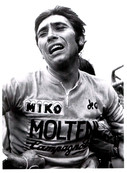 Merckx Eddy