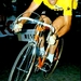 Merckx Eddy