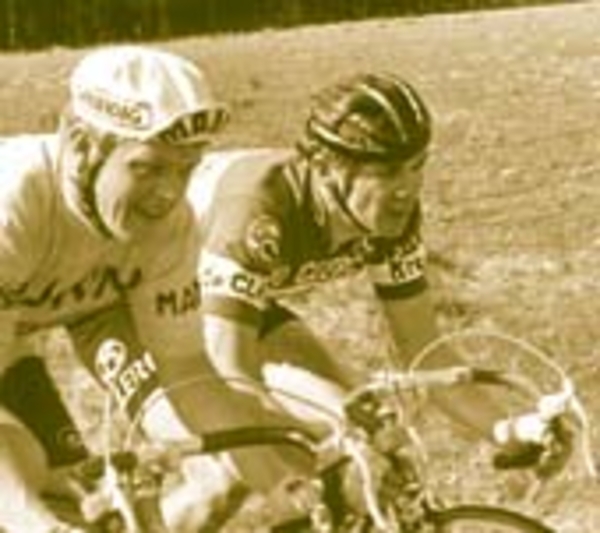 Willy Van Neste
