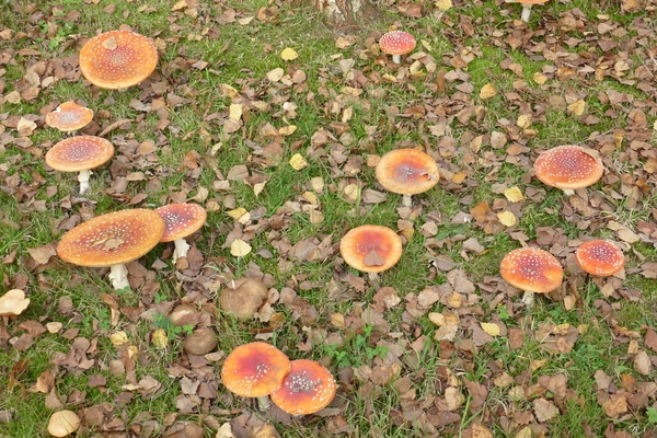 P1000323