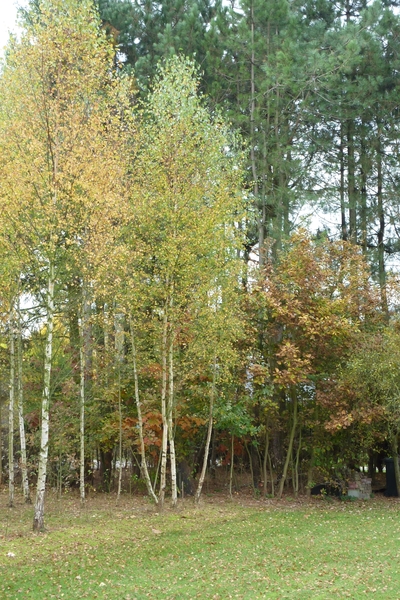 P1000331