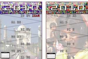 bharat kalender 2010
