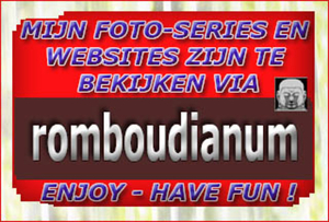 zoek romboudianum
