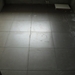DSCI0097