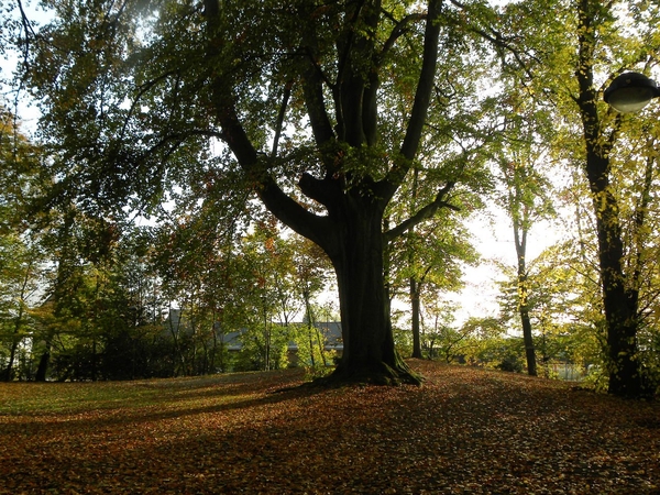 2009 10 herfst 012