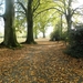 2009 10 herfst 011