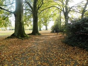 2009 10 herfst 011