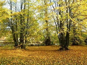 2009 10 herfst 013