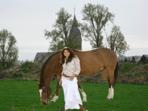 Afbeelding-061