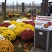 verkoper bloemen en planten