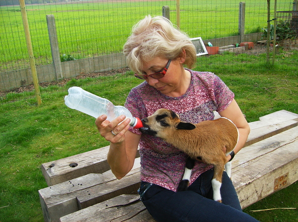 eten geven aan  LOUISE