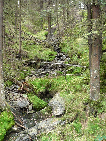 Een van de zijstromen (zonder water)