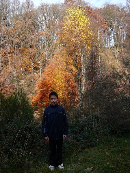 Herfstkleuren in overvloed