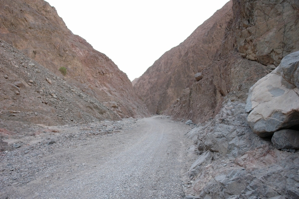 Taba de zondag188