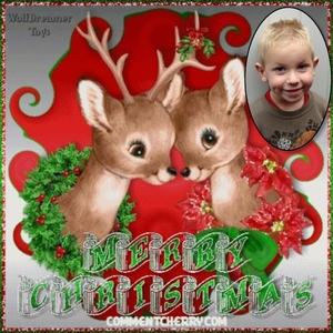 Niels-Kerst