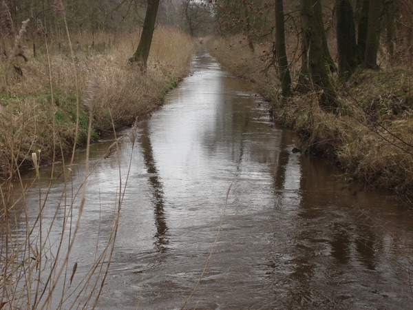wandeling Kempen Broek, 20 januari 2008 deel 2 016