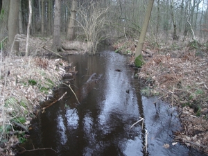 wandeling Kempen Broek, 20 januari 2008 deel 2 023