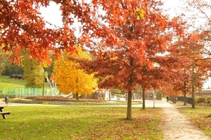 HERFST 2 007