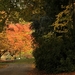 HERFST 2 021