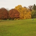 HERFST 2 055