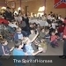 Herschaalde kopie van _DSC0292