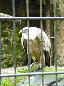 P1010747