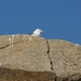 FOTO S CALONGE 2009 003